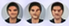 Scholar.ai students